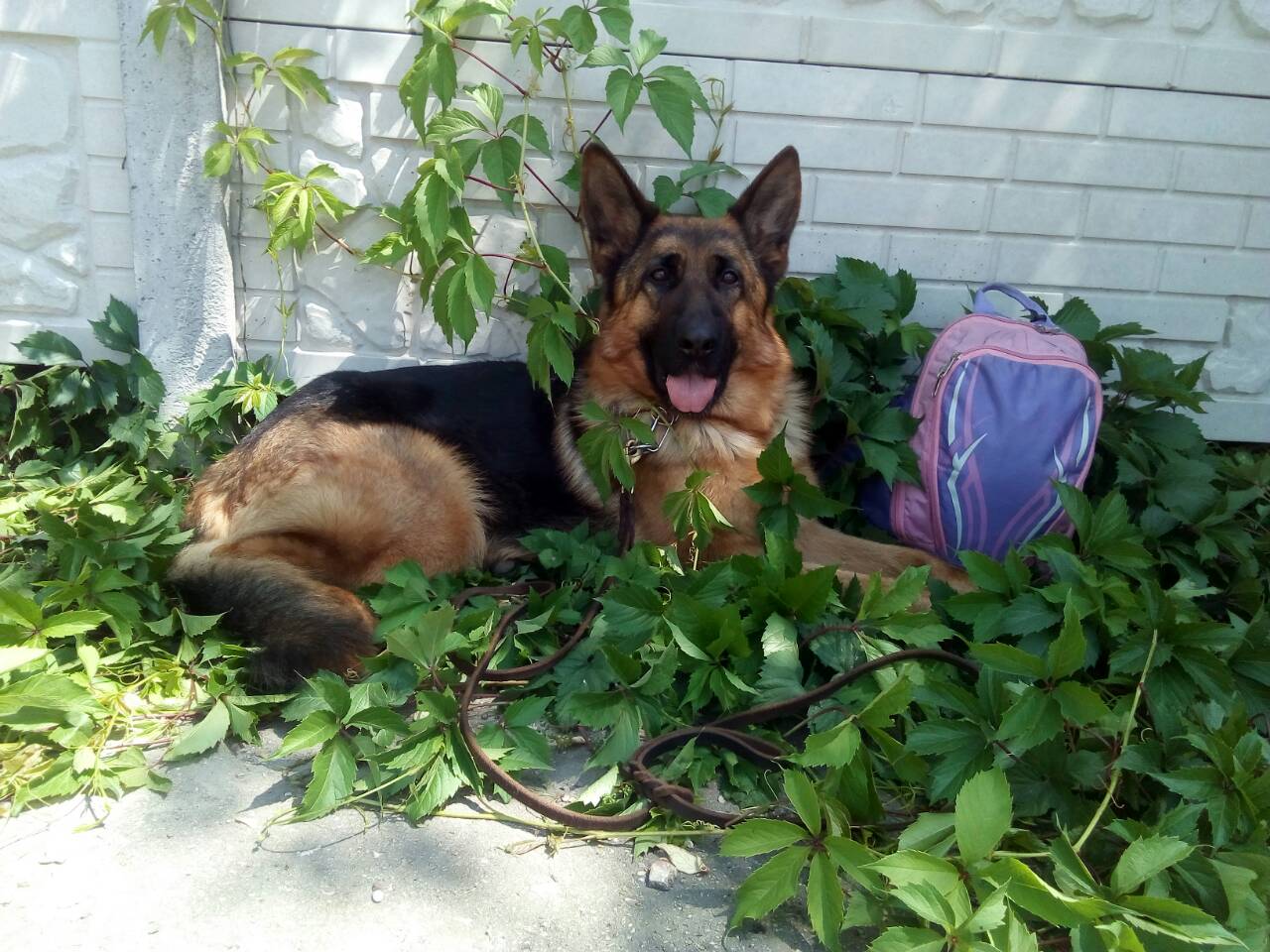  ркф 26.05.2018г 3.jpg